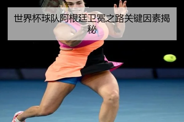 世界杯球队阿根廷卫冕之路关键因素揭秘